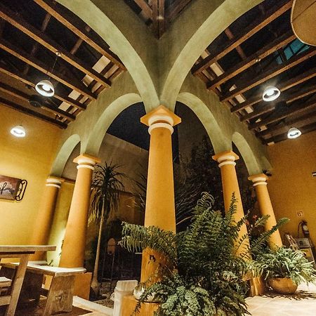 Snail Bed & Breakfast (Adults Only) San Cristóbal de Las Casas 外观 照片