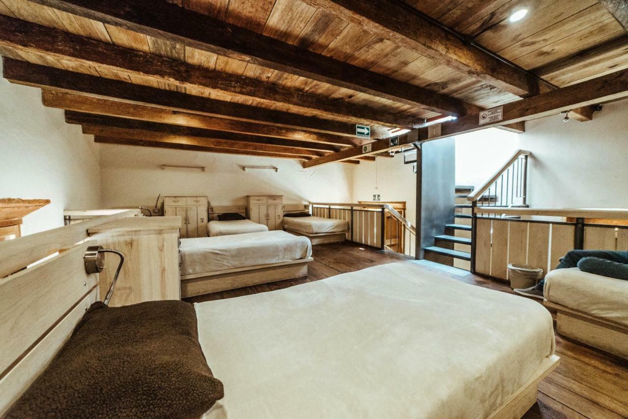Snail Bed & Breakfast (Adults Only) San Cristóbal de Las Casas 外观 照片