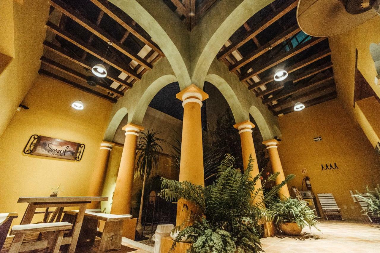 Snail Bed & Breakfast (Adults Only) San Cristóbal de Las Casas 外观 照片