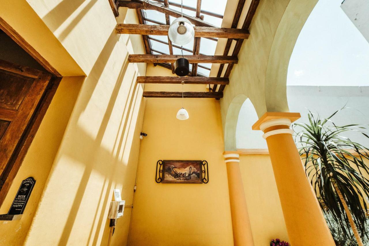Snail Bed & Breakfast (Adults Only) San Cristóbal de Las Casas 外观 照片